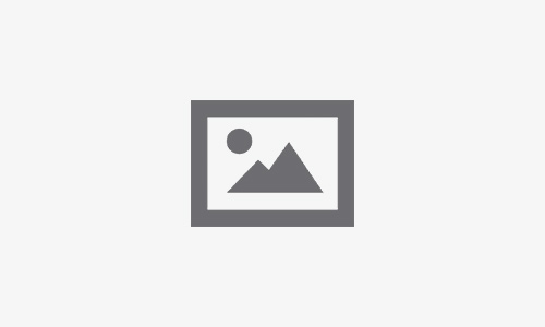 تطوير اللقاحات الاصطناعية